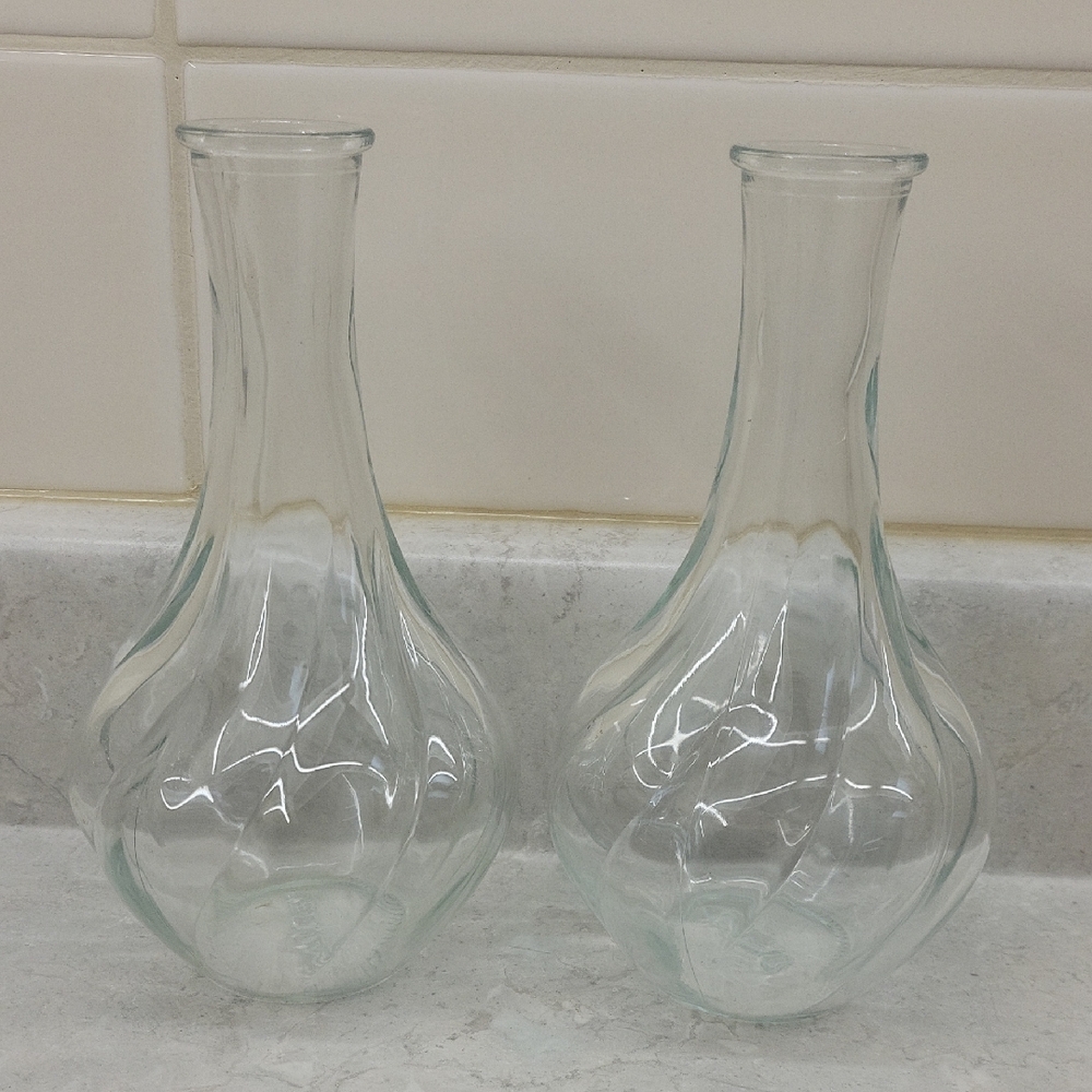 Elegant Clear Glass Vases - Set of 2